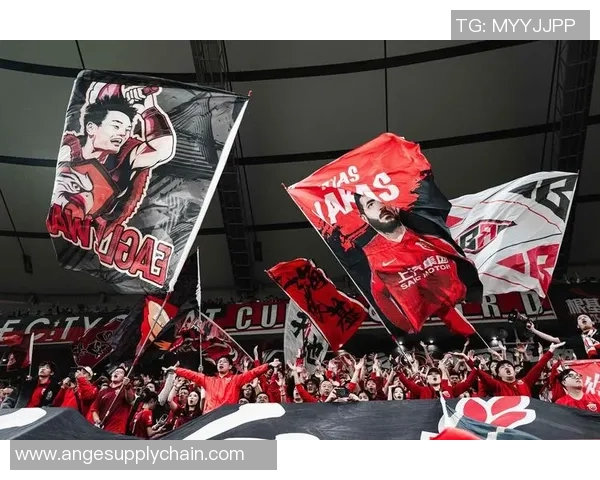 足球明星背后的她们揭秘：那些不为人知的故事与风采